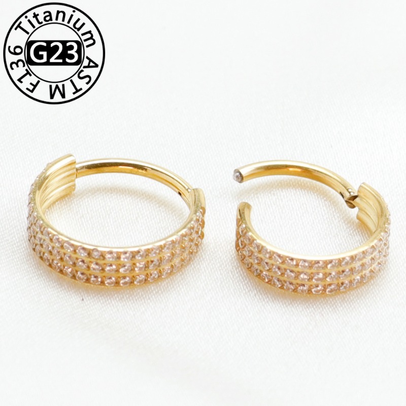 2/5pcs G23 Titanium Nose Ring  - đánh giá và giá Clicker Ring Seamless