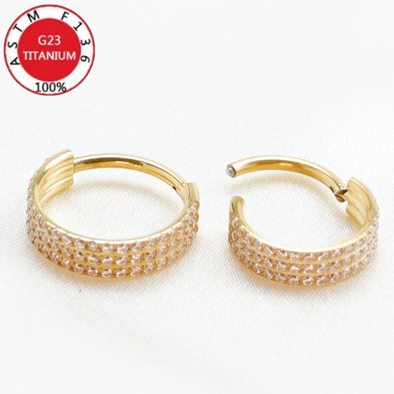 2/5Pcs G23 Titanium Nose Ring  - đánh giá và giá Clicker Ring Seamless