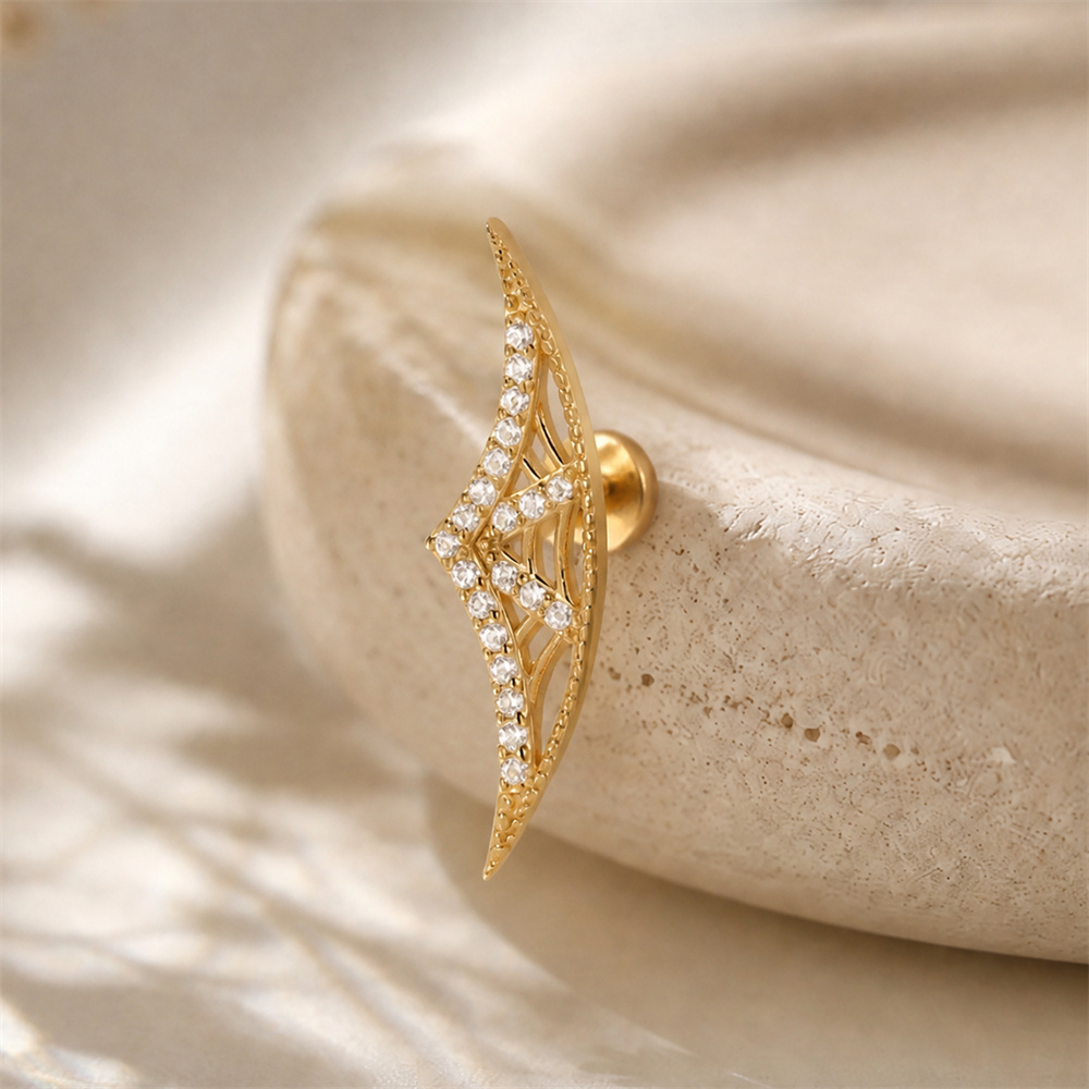 AIDE 925 Sterling Silver Octag - đánh giá và giá Star Flat Back
