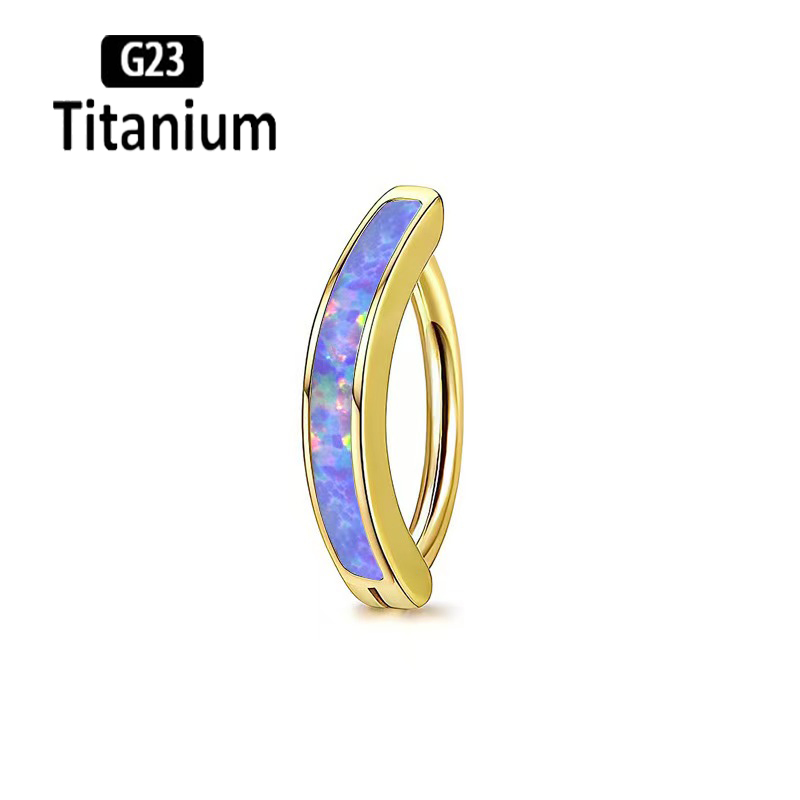 1PC 14G Implant Grade G23 Tita - đánh giá và giá Body Jewelry Implant Grade Titanium