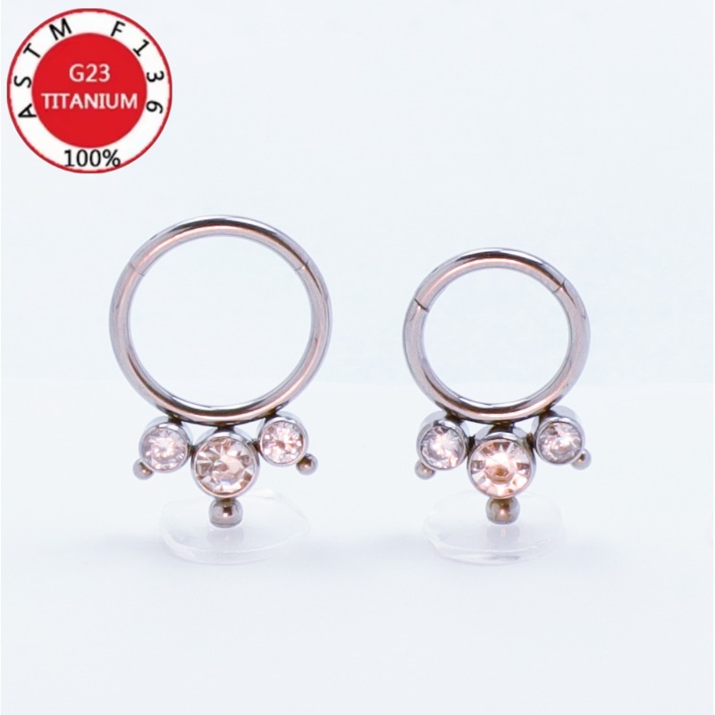 2/5Pcs 16G Implant Grade G23 T - đánh giá và giá Body Jewelry Implant Grade Titanium