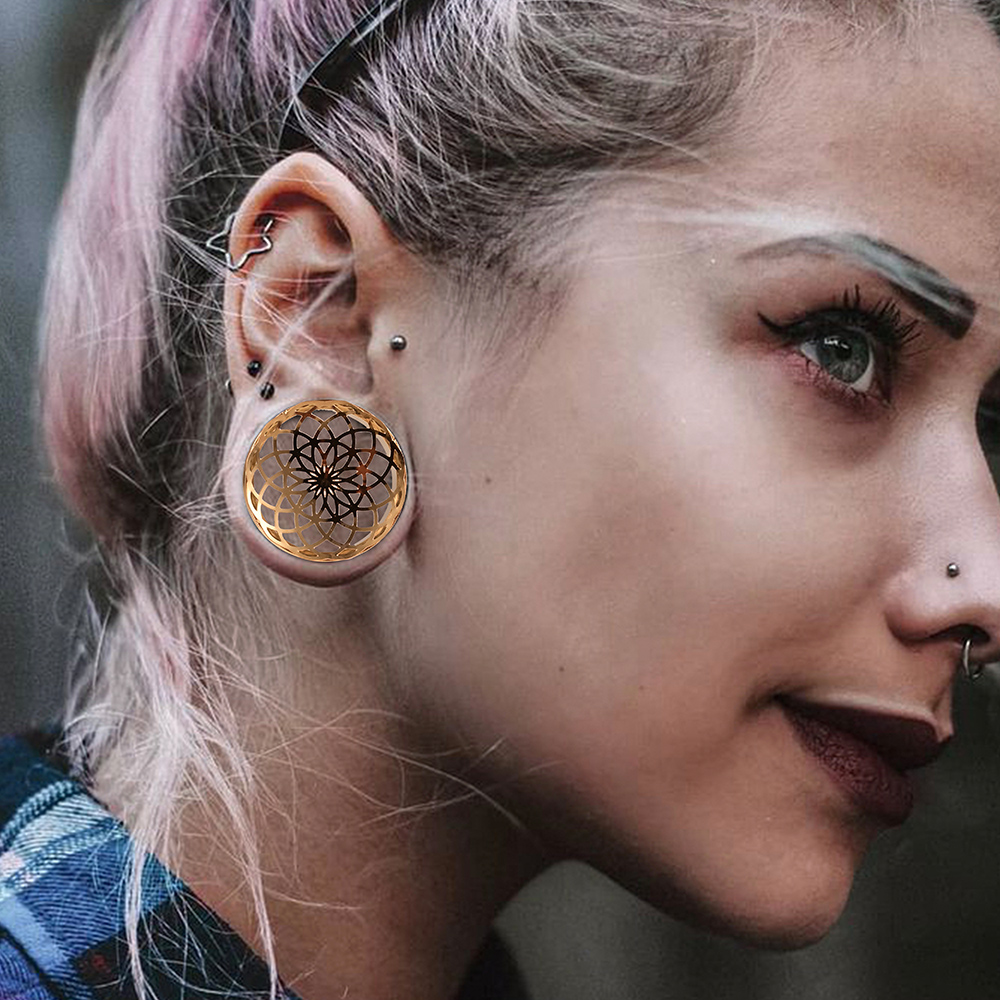 Vankula 2PCS 316 Stainless Ste - đánh giá và giá Body Jewelry Ear Plugs